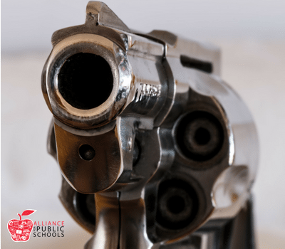 proposal to allow federal funds for guns